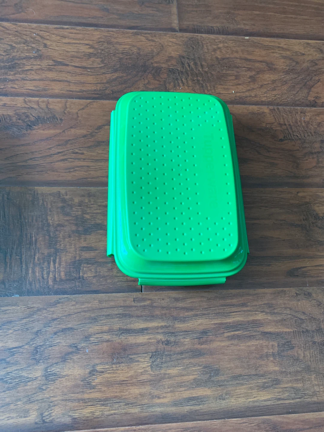 Green Collapsible Food Container