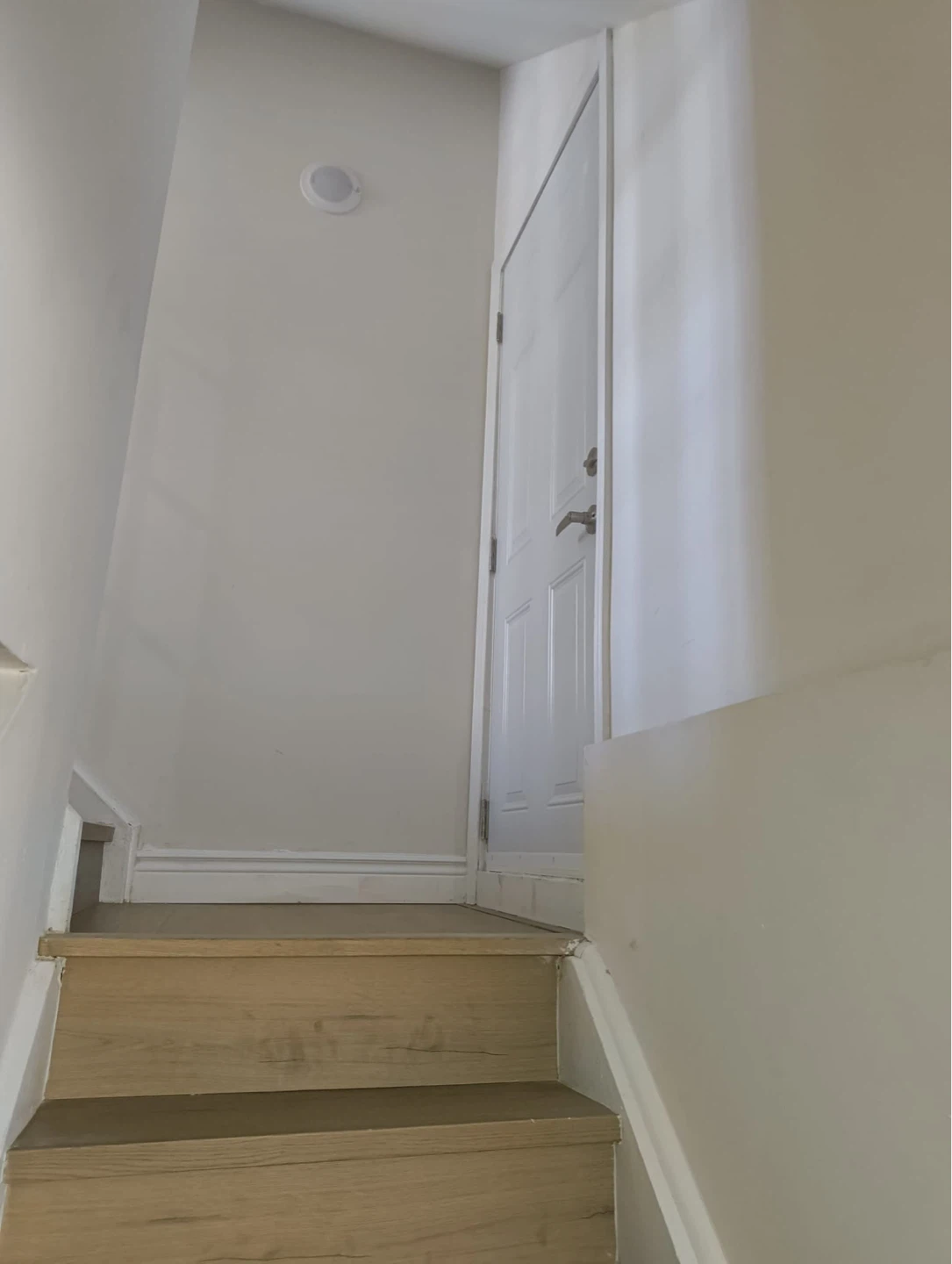 One bedroom basement with separate entrance and a parking