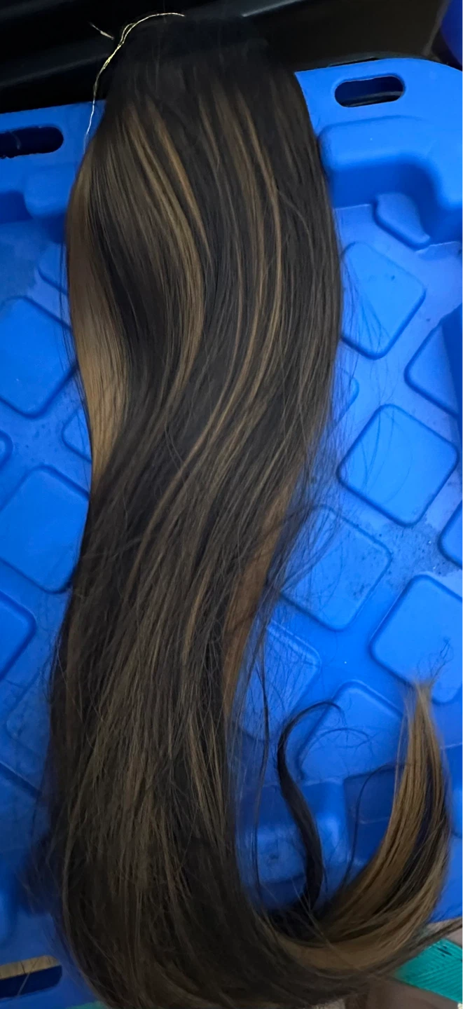 Wig - Dark Brown with Blonde Highlights