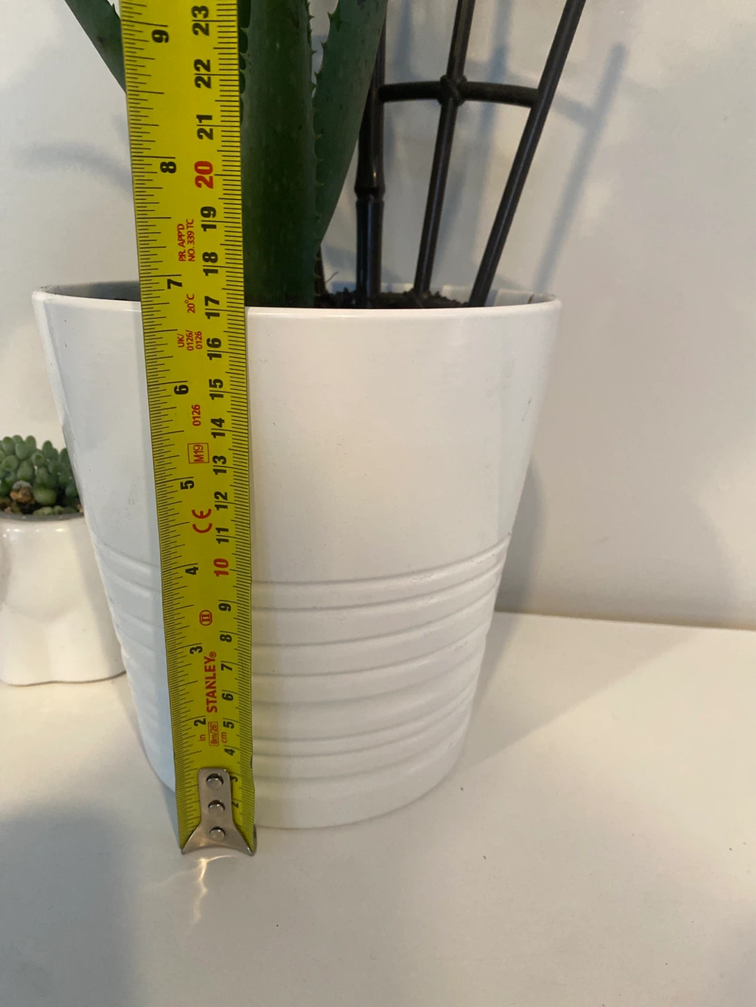 Two indoor plants with ceramic pots - photo 2