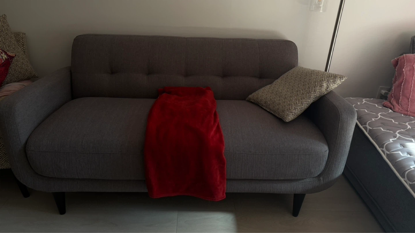 Grey Loveseat Sofa