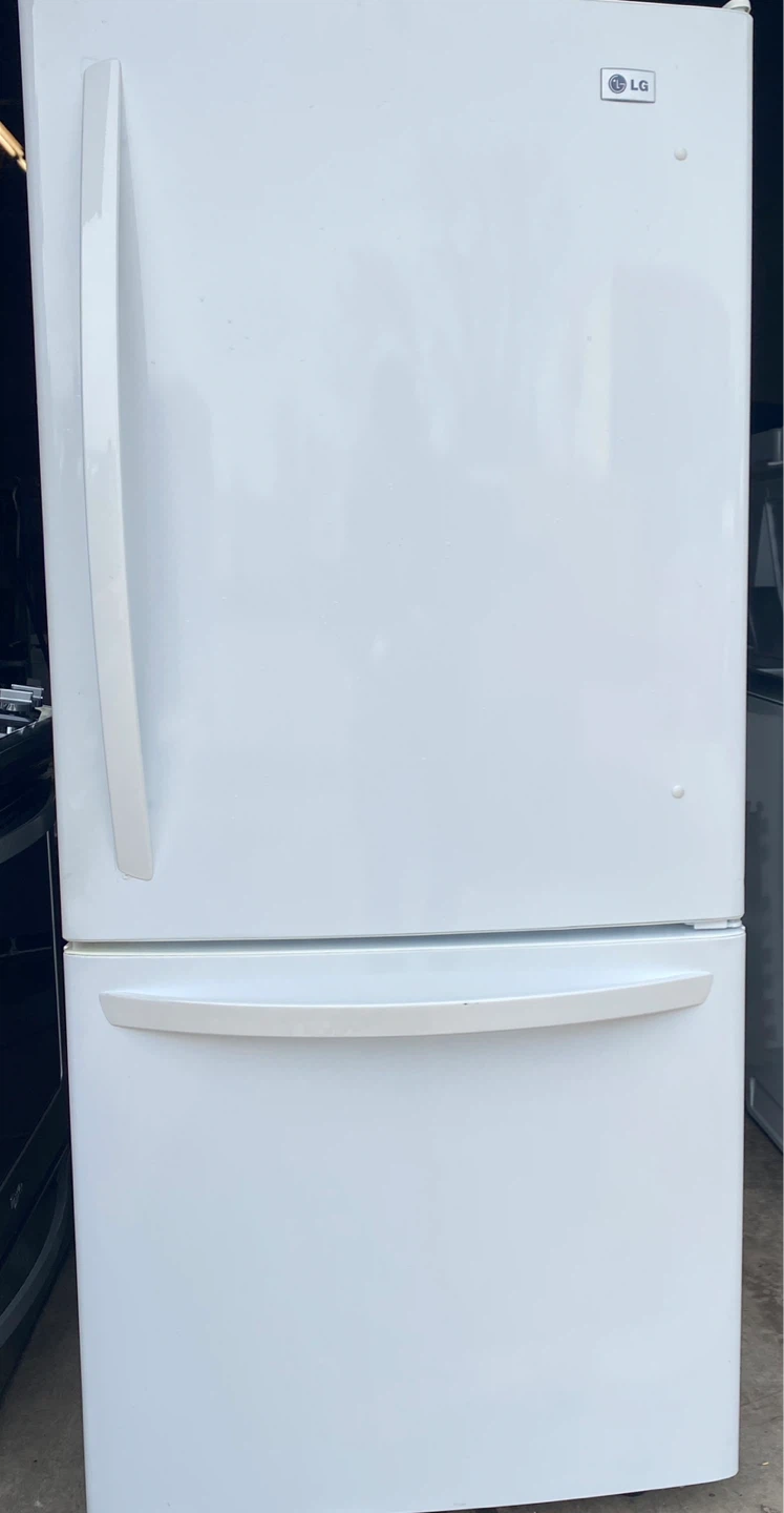 Bottom Freezer Fridge