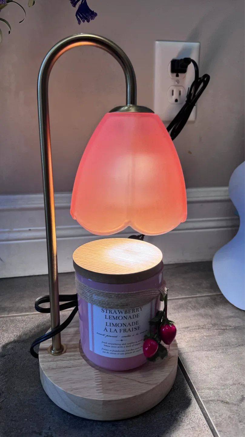 Sand + Fog Watermelon Breeze Candle - photo 2