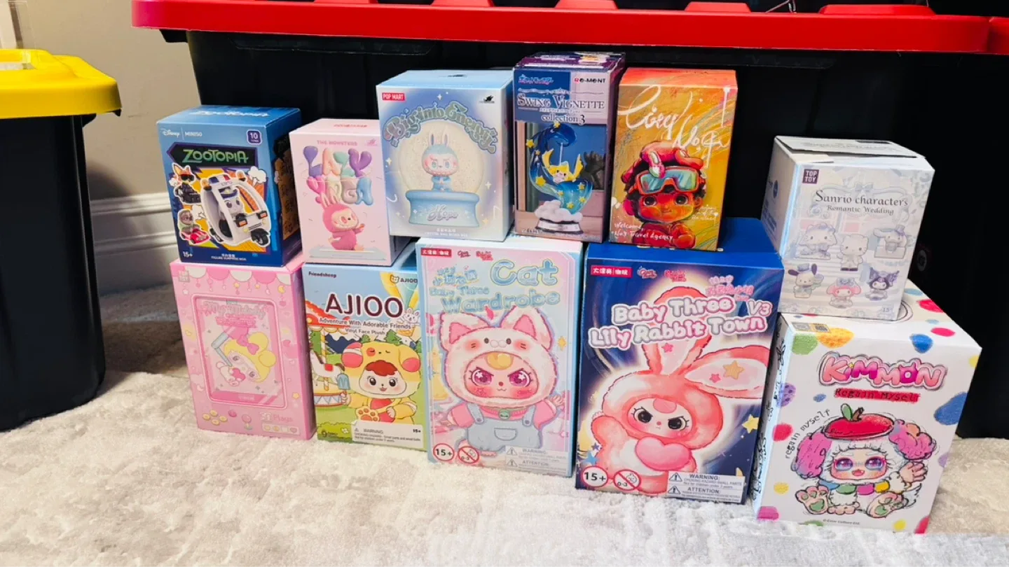 Blind Box Figures - Pop Mart, Miniso, Sanrio, and more