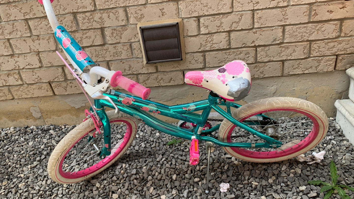 Kids Teal and Pink Bicycle - photo 4
