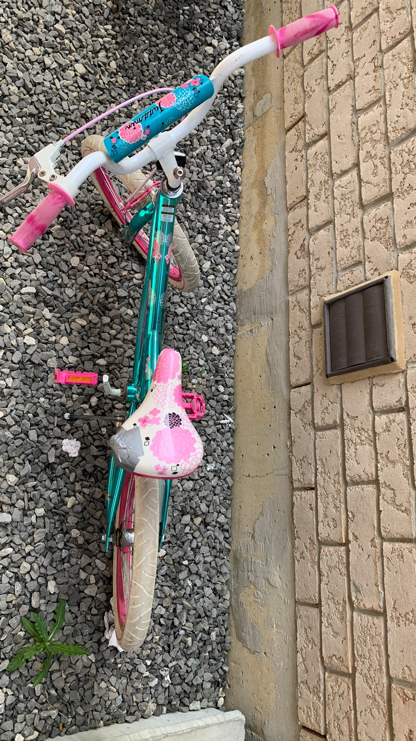 Kids Teal and Pink Bicycle