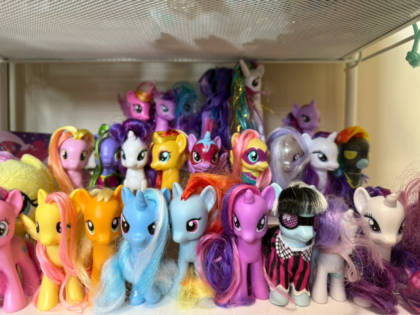 Trading/Swap my little pony dolls.