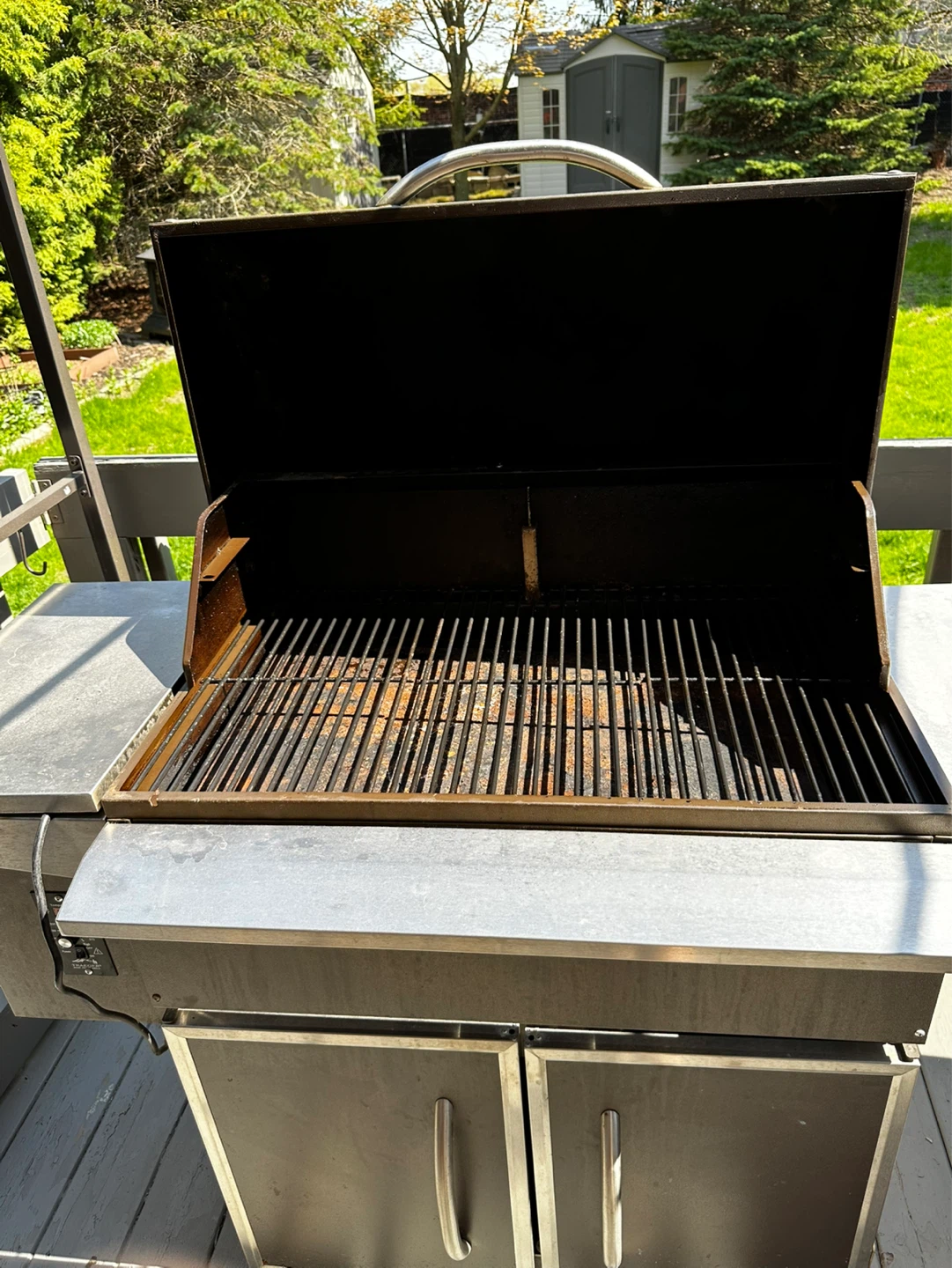 Traeger Wood Pellet Grill