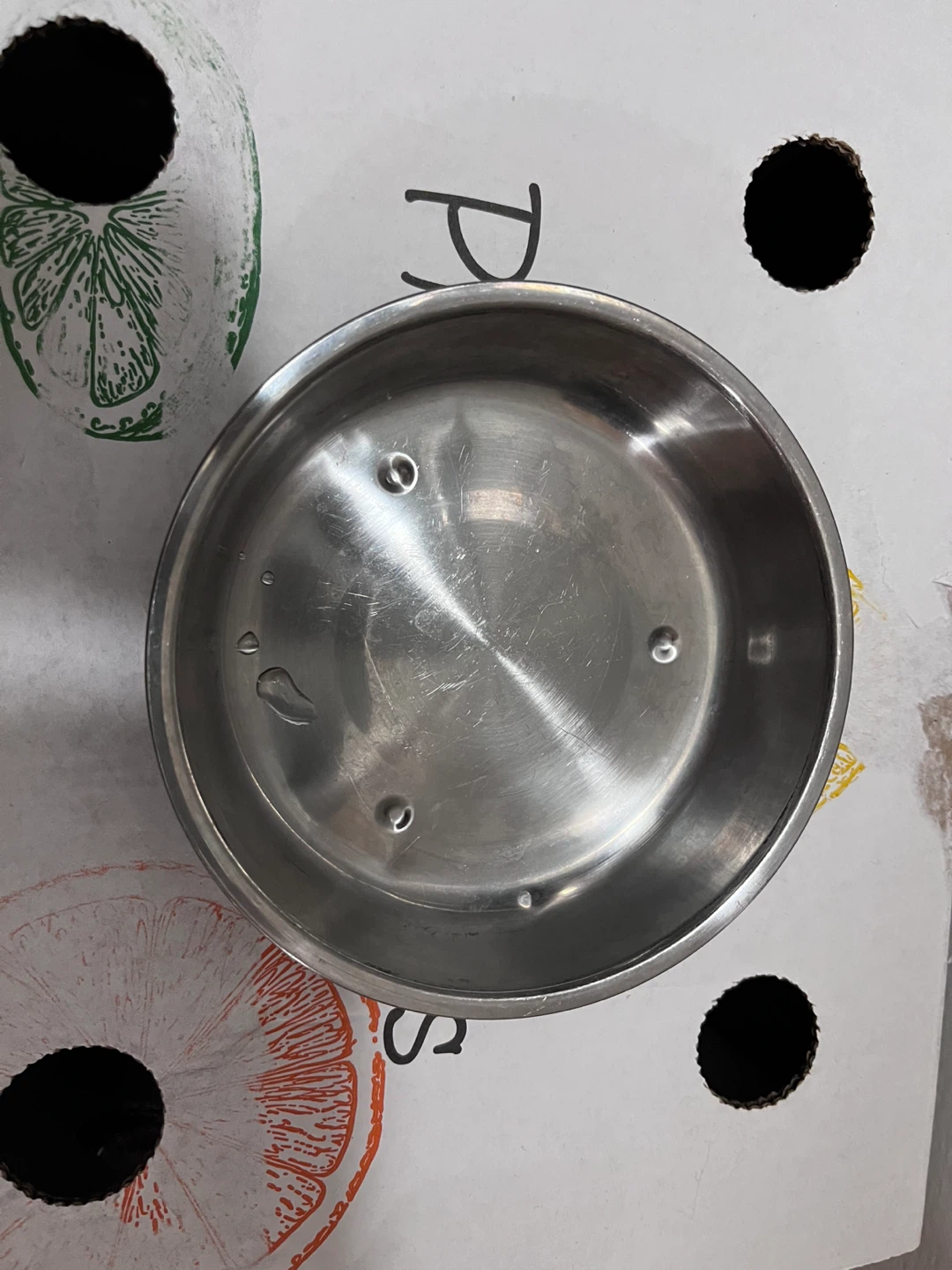 Stainless Steel Pet Bowl