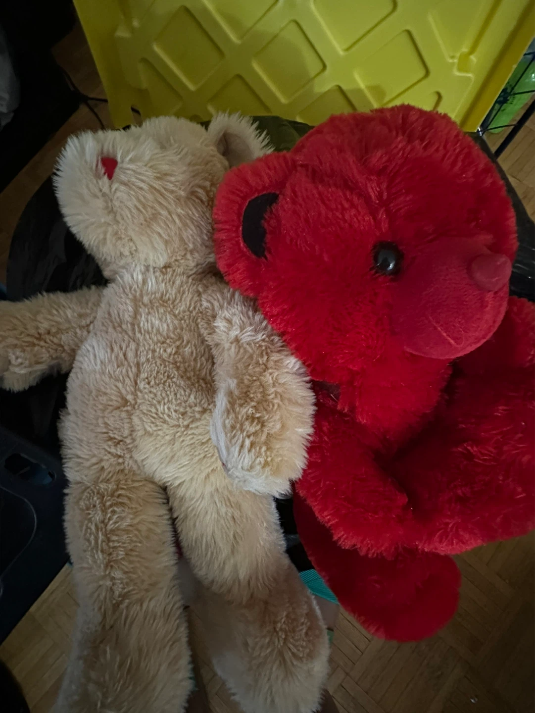 Two Plush Teddy Bears