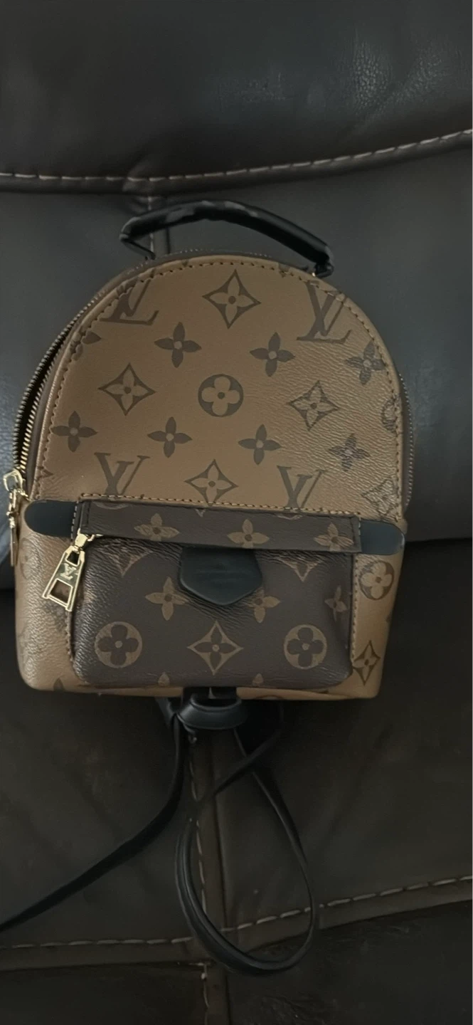 Louis Vuitton Monogram Mini Backpack