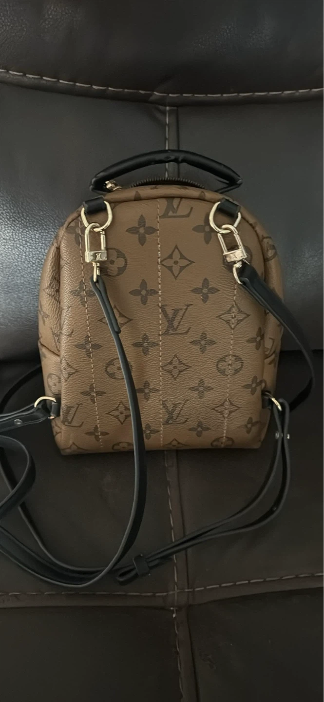 Louis Vuitton Monogram Mini Backpack - photo 2