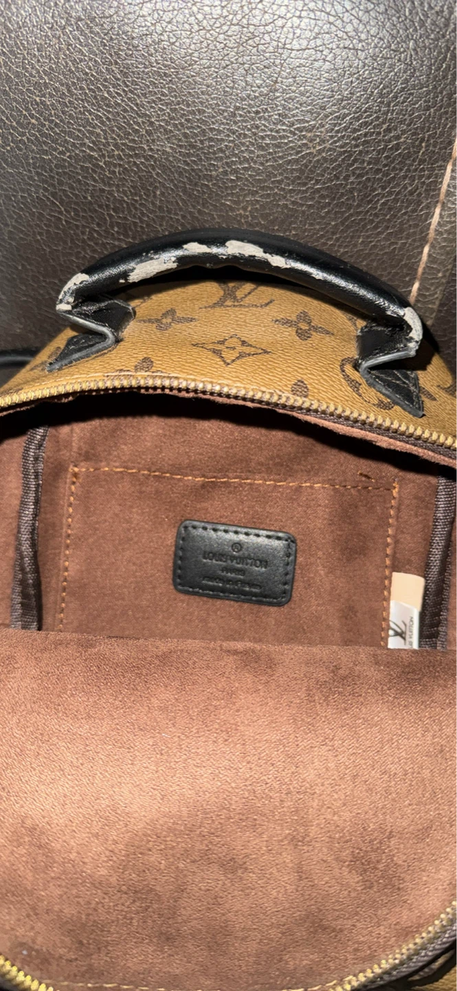 Louis Vuitton Monogram Mini Backpack - photo 3
