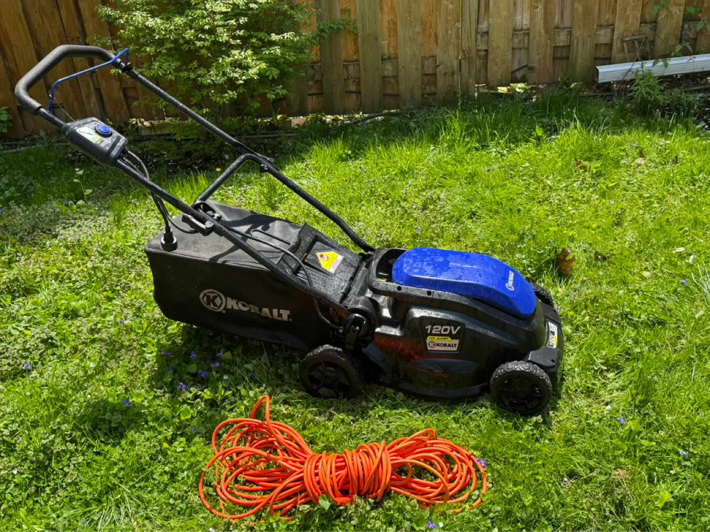 Kobalt 120V Electric Lawn Mower - 16" Deck