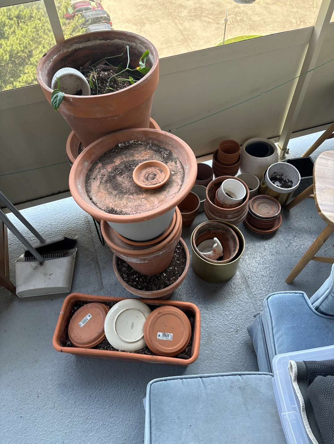 Assorted Terracotta and Ceramic Plant Pots