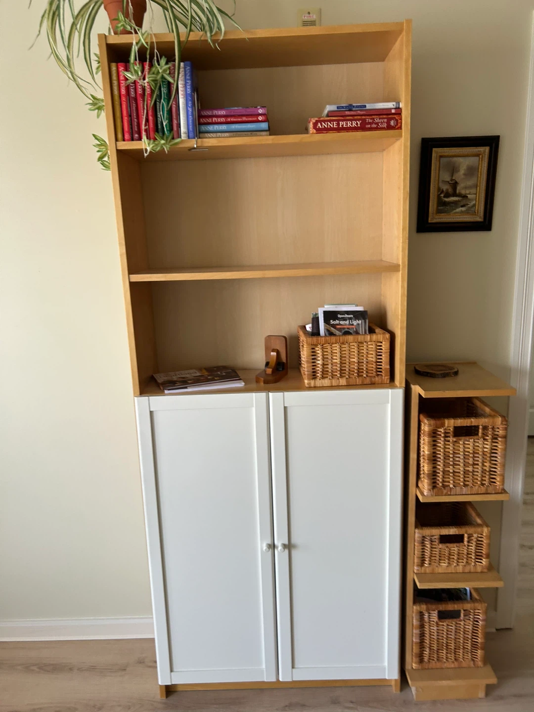 IKEA Billy Bookcase with Cabinet doors