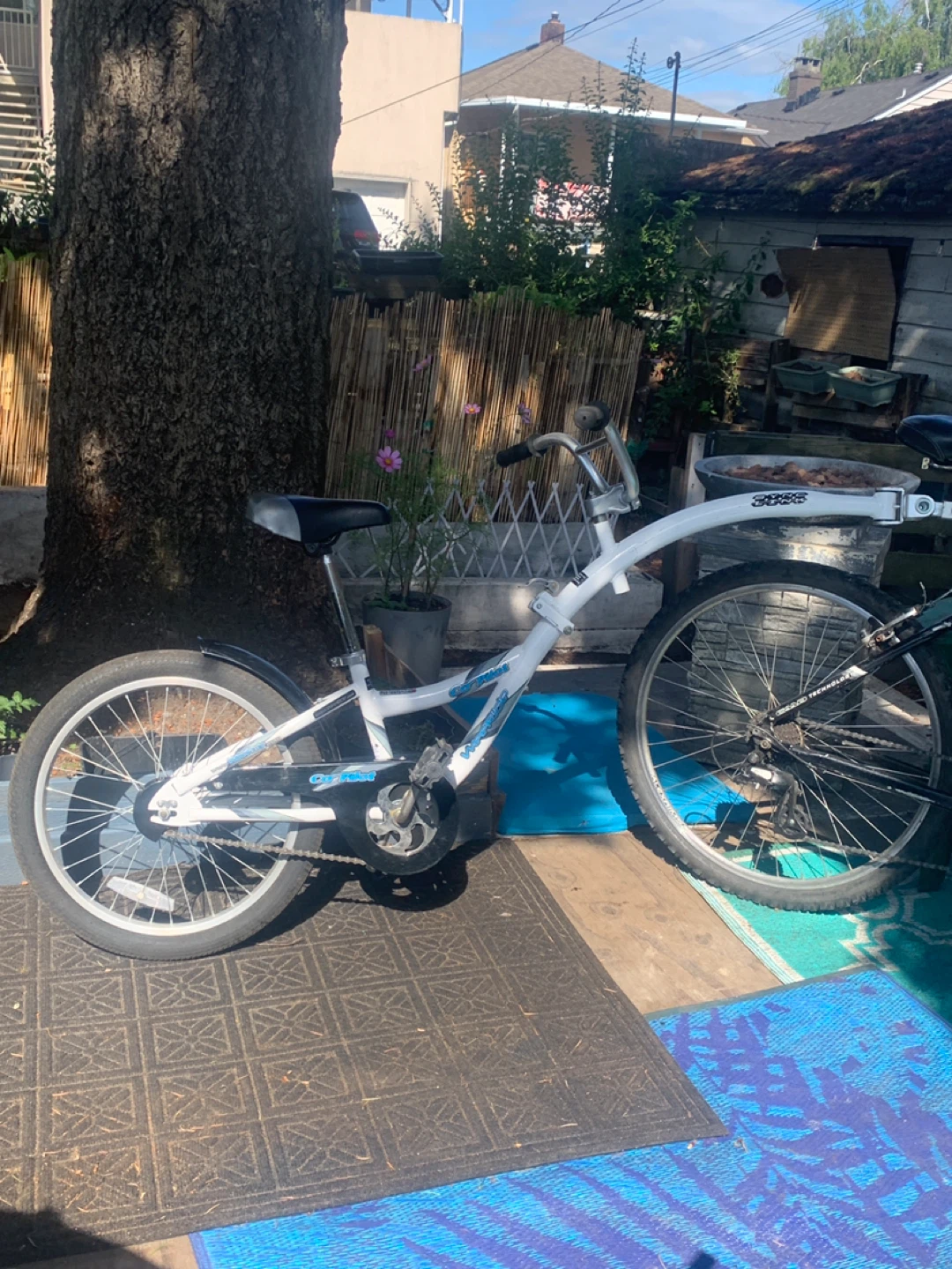 WeeRide Co-Pilot Trailer Bike
