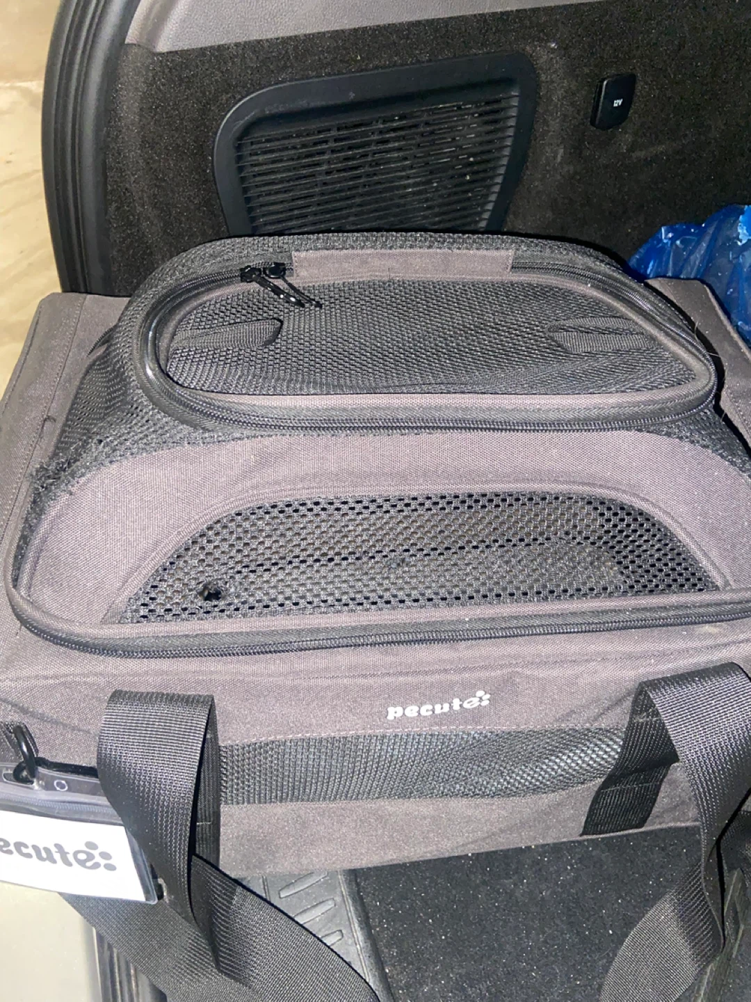 Pecute Pet Carrier Bag