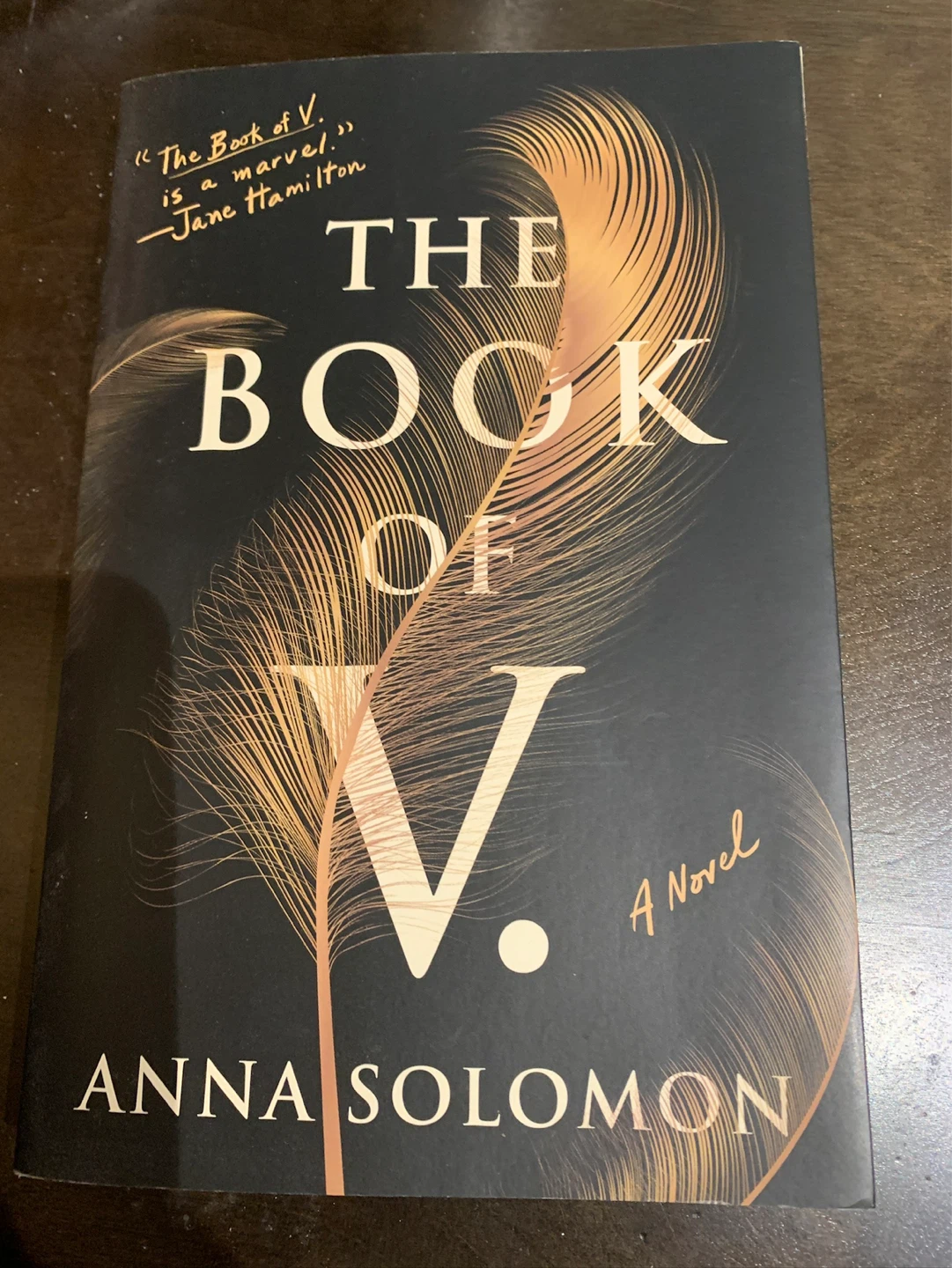 The Book of V. by Anna Solomon - A Novel