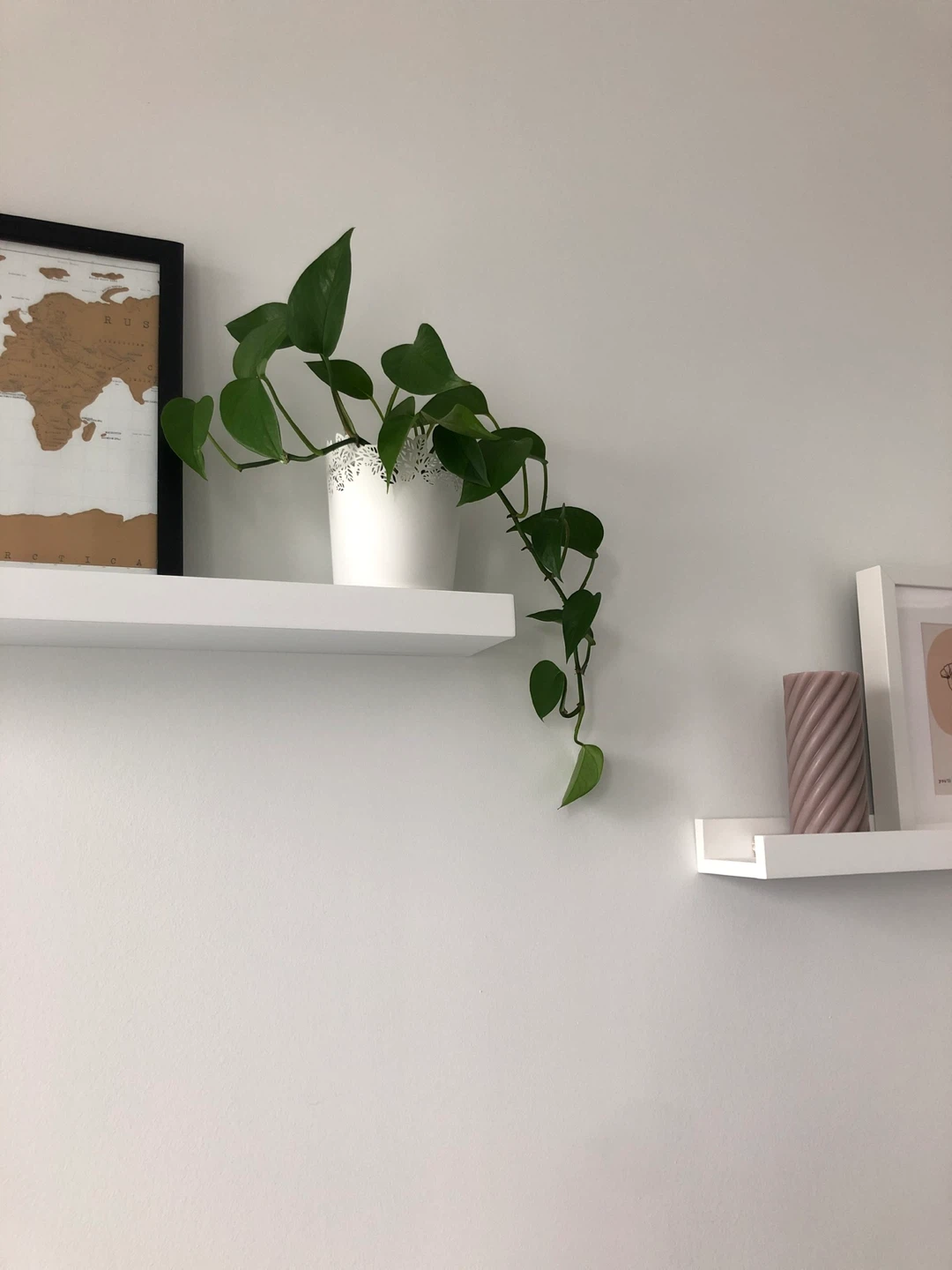 Floating Shelves