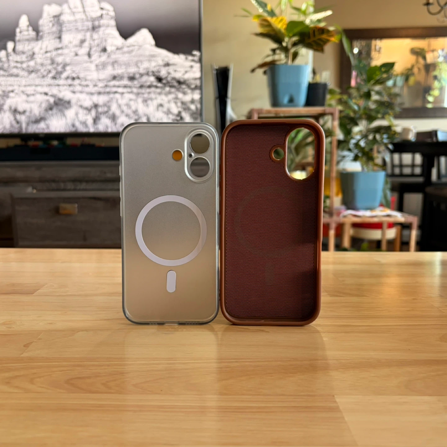 iPhone 17 Cases - photo 2