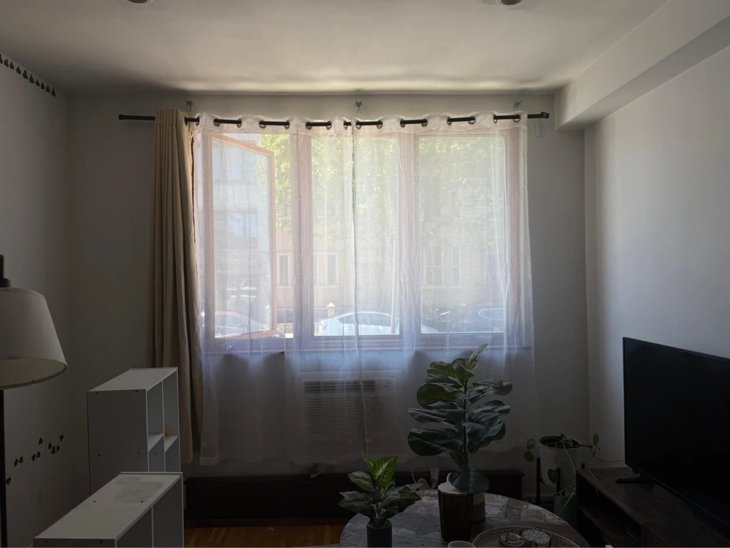 Blackout + Sheer Curtain Combo + Rod & Tieback Included!