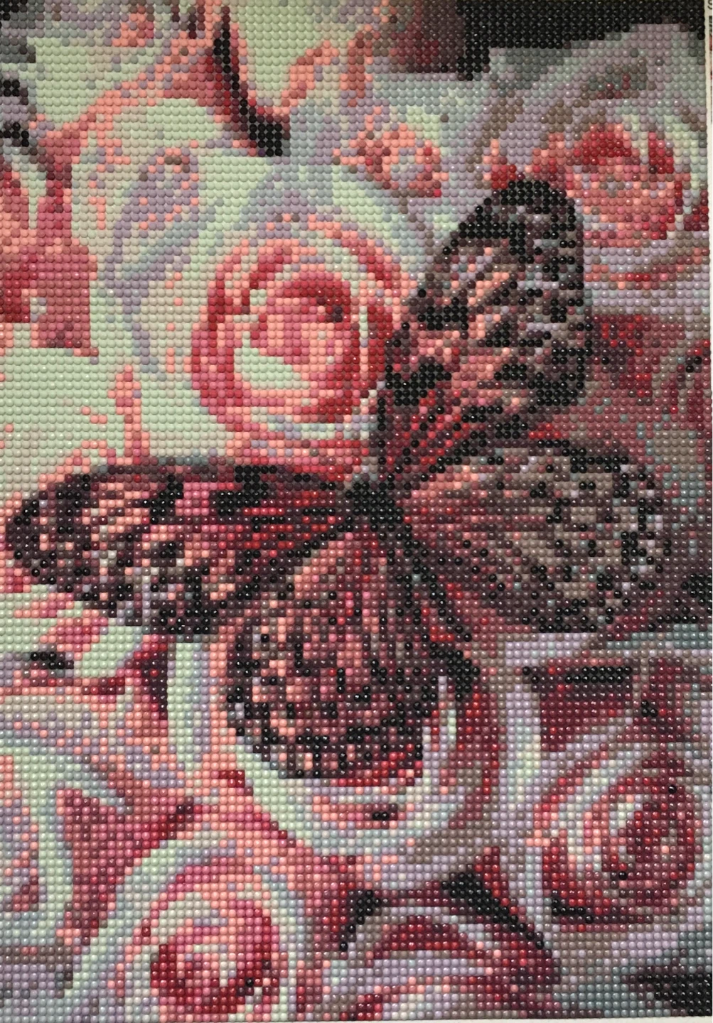 Completed 4D Diamond Paintings