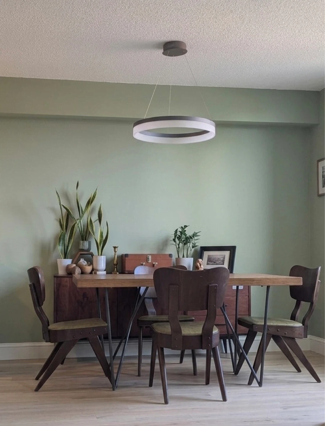 Bazz Orion Integrated LED Pendant Light