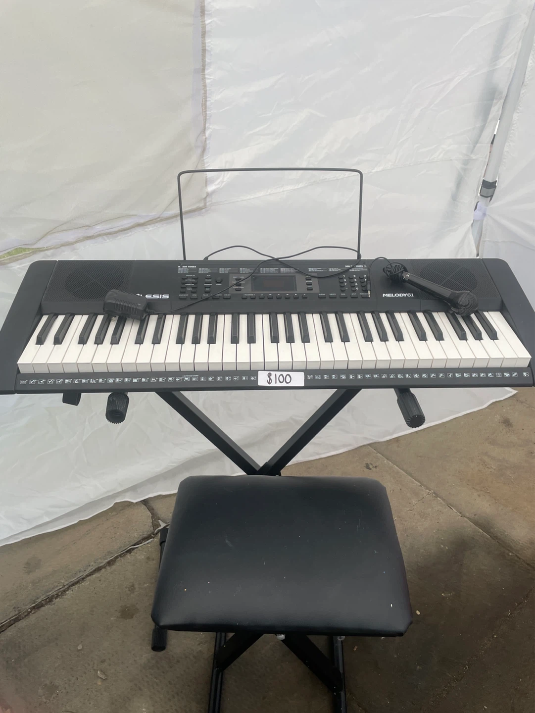 Alesis Melody 61 Keyboard with Microphone and Stand
