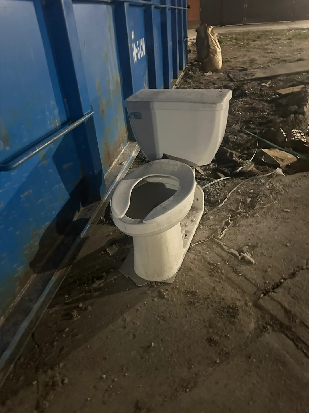 abandoned toilet - photo 4