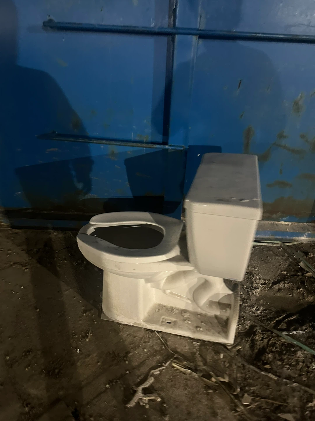 abandoned toilet