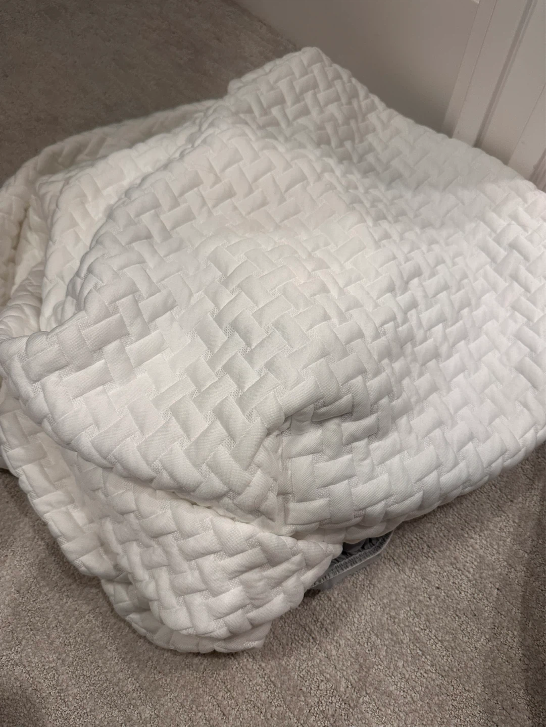 Queen sized mattress protector