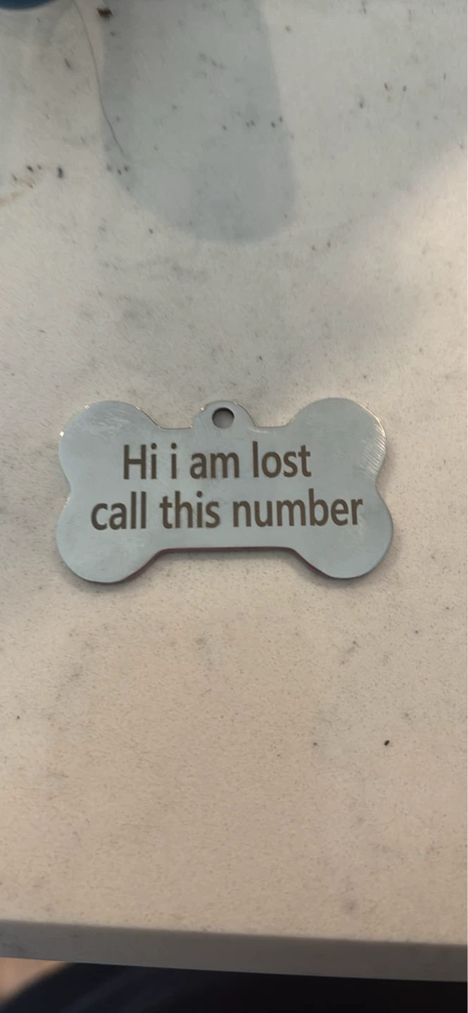 Personalized Dog Bone Pet ID Tag for Bella - photo 2