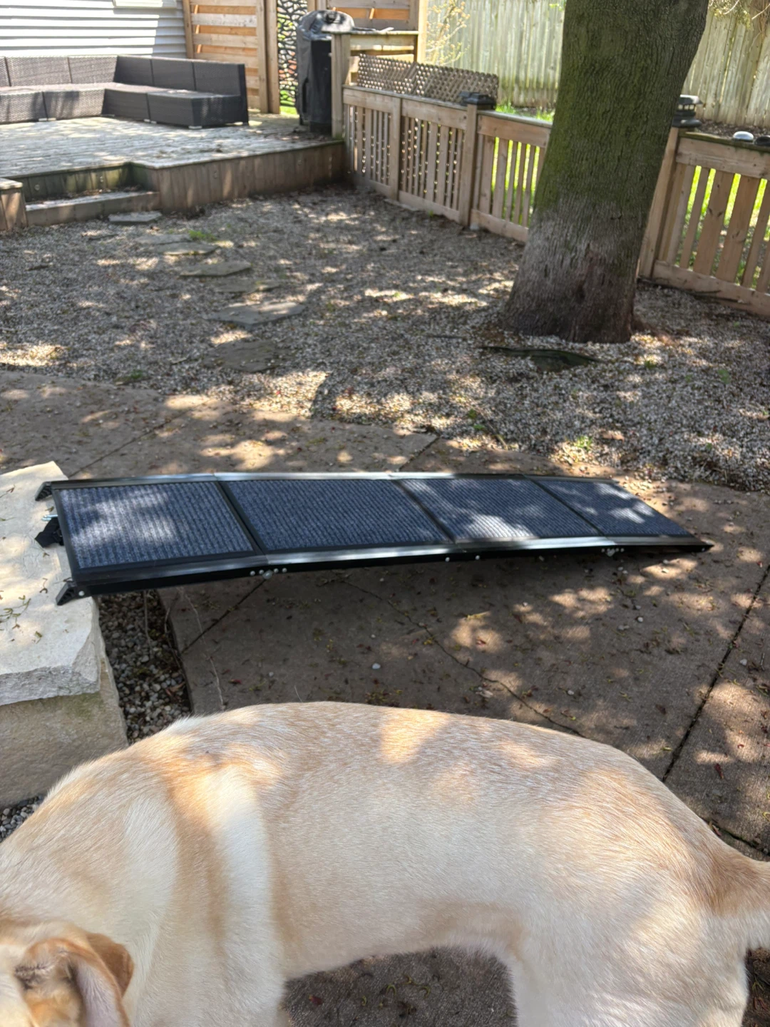 Folding Pet Ramp - photo 4