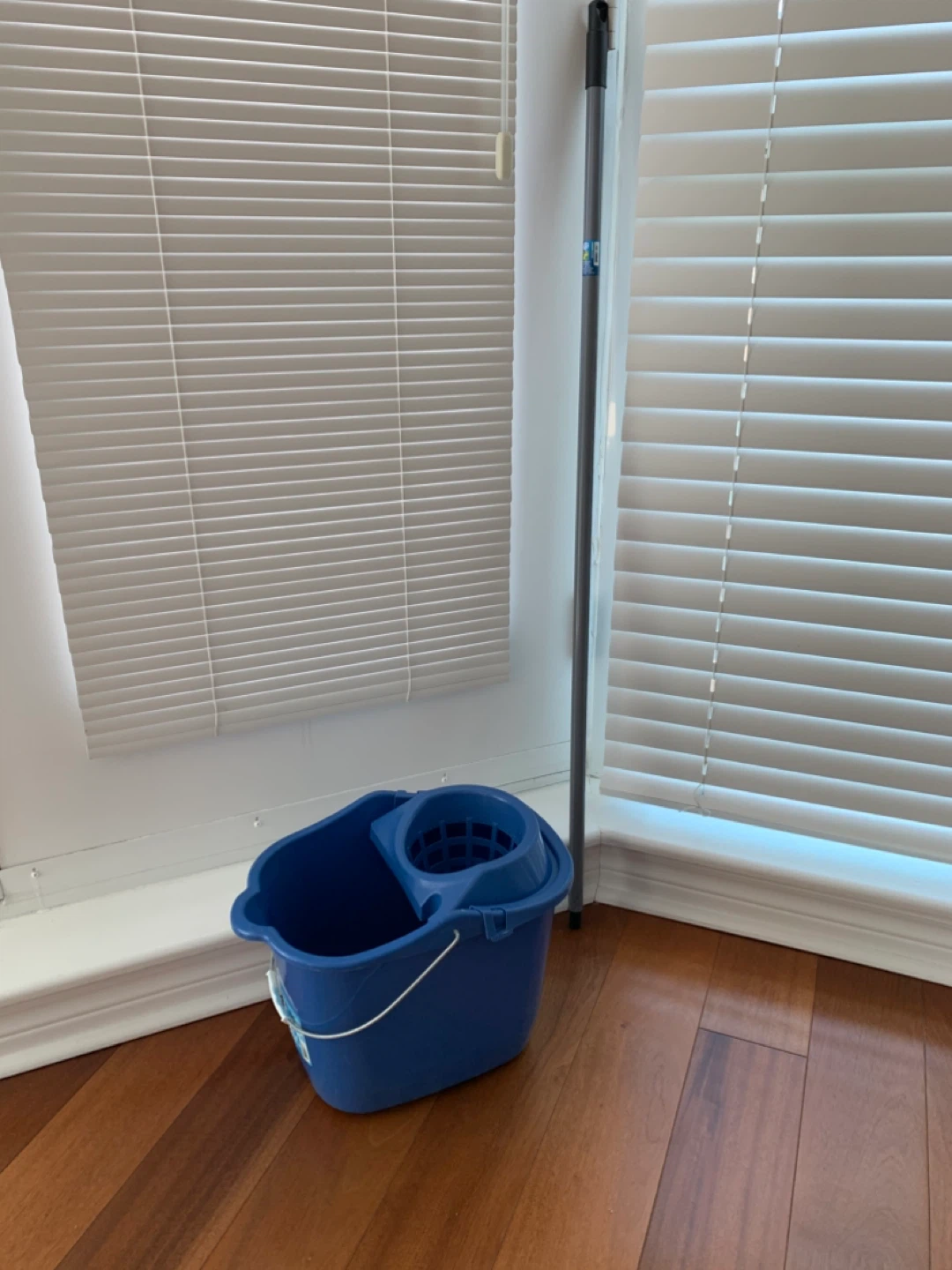 Mop bucket and handle, no mop head