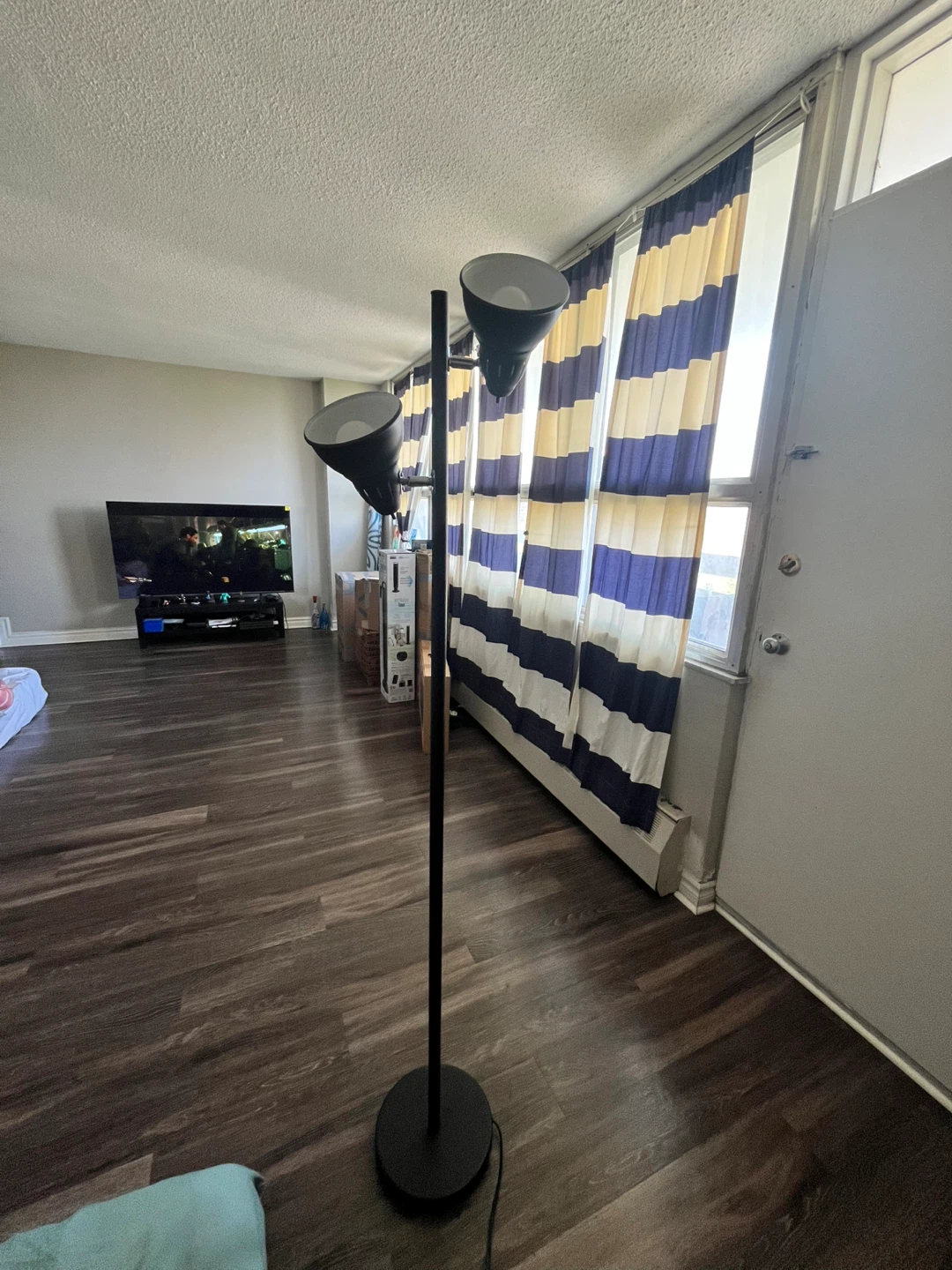 Black Floor Lamp with Two Heads