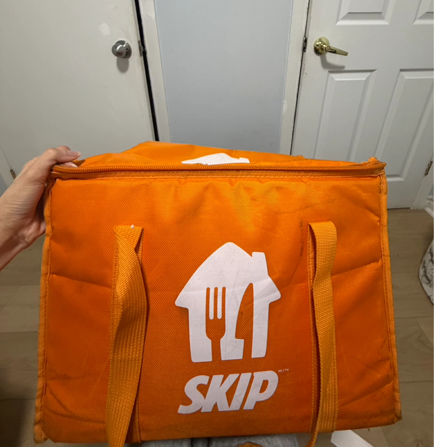 SkipTheDishes Insulated Food Delivery Bag