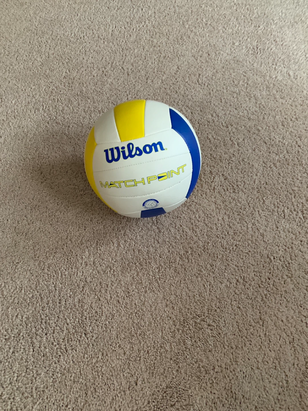 Wilson Match Point Volleyball