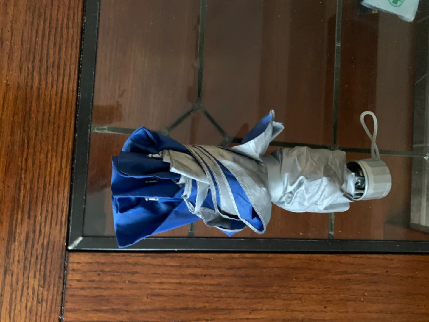 Collapsible Umbrella