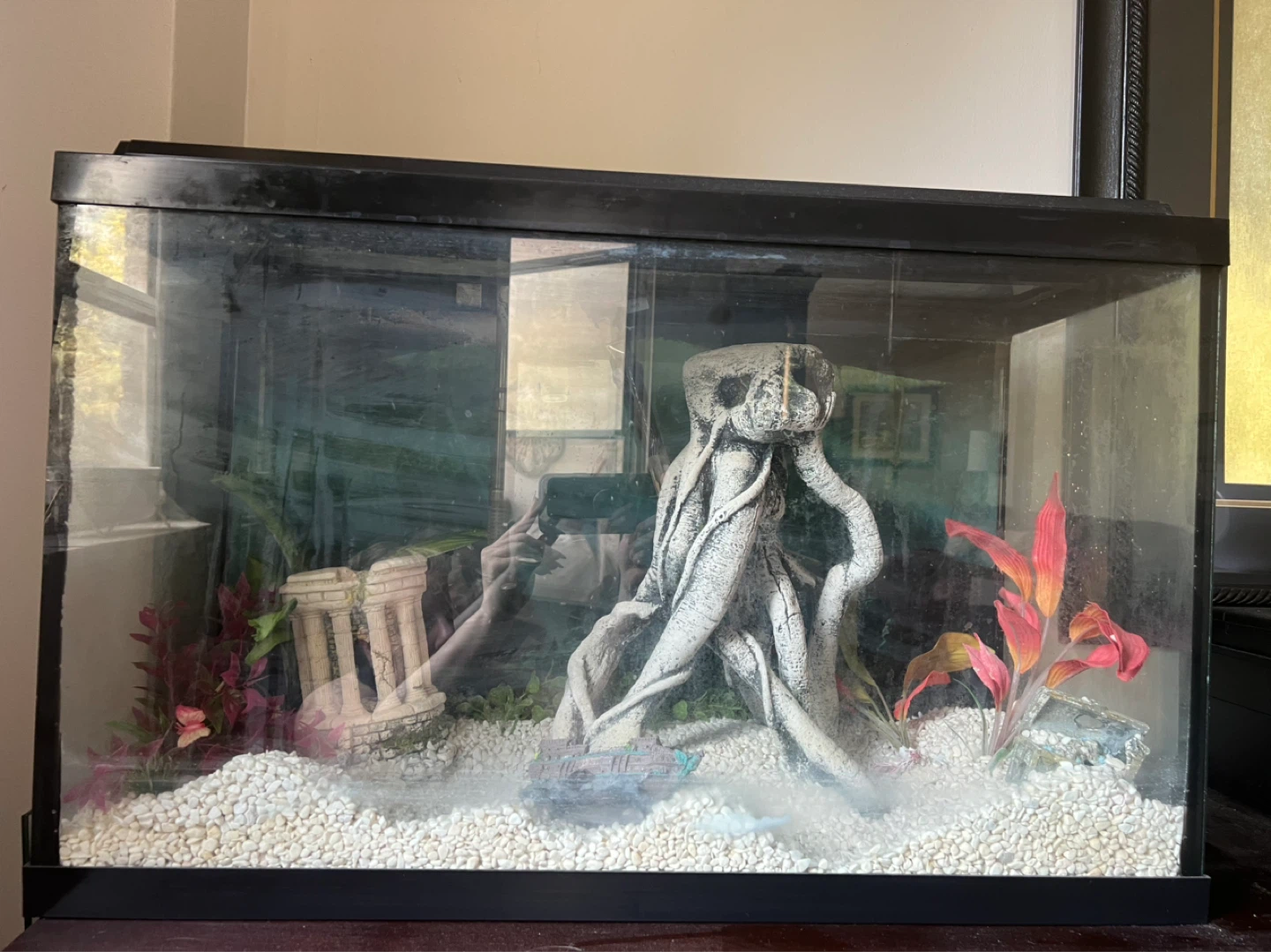 Aquarium and all equipment - photo 3