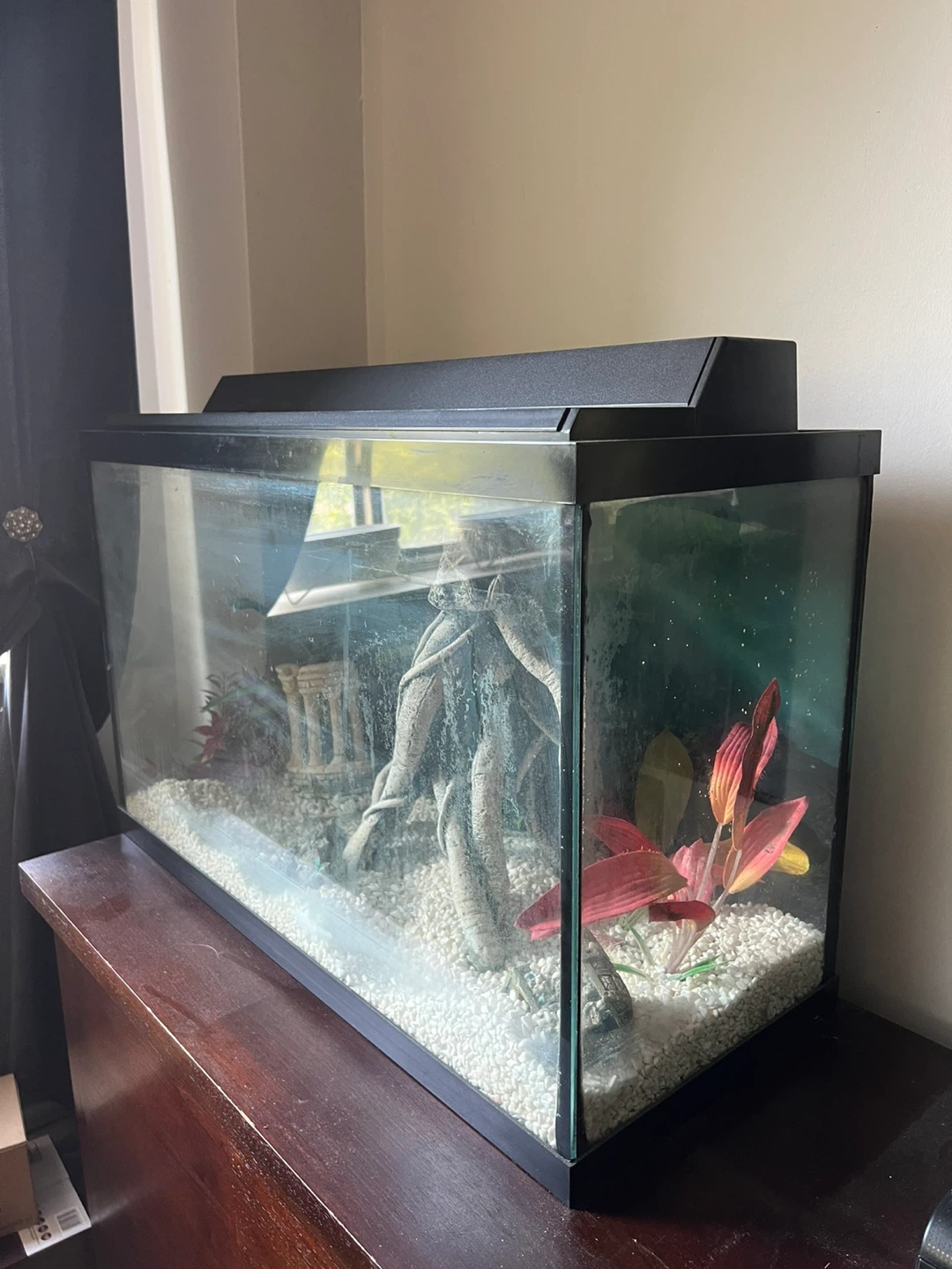 Aquarium and all equipment