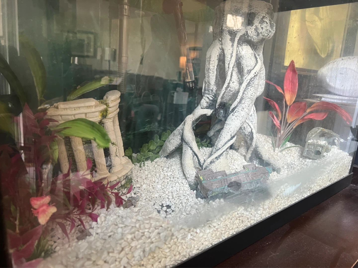 Aquarium and all equipment - photo 5