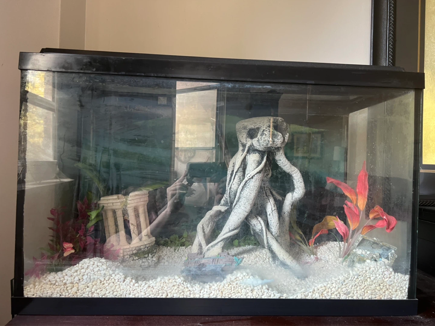 Aquarium and all equipment - photo 4