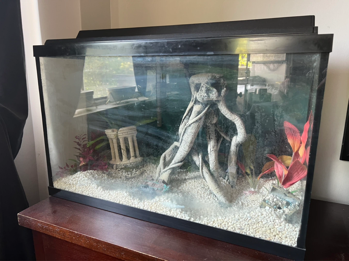 Aquarium and all equipment - photo 2