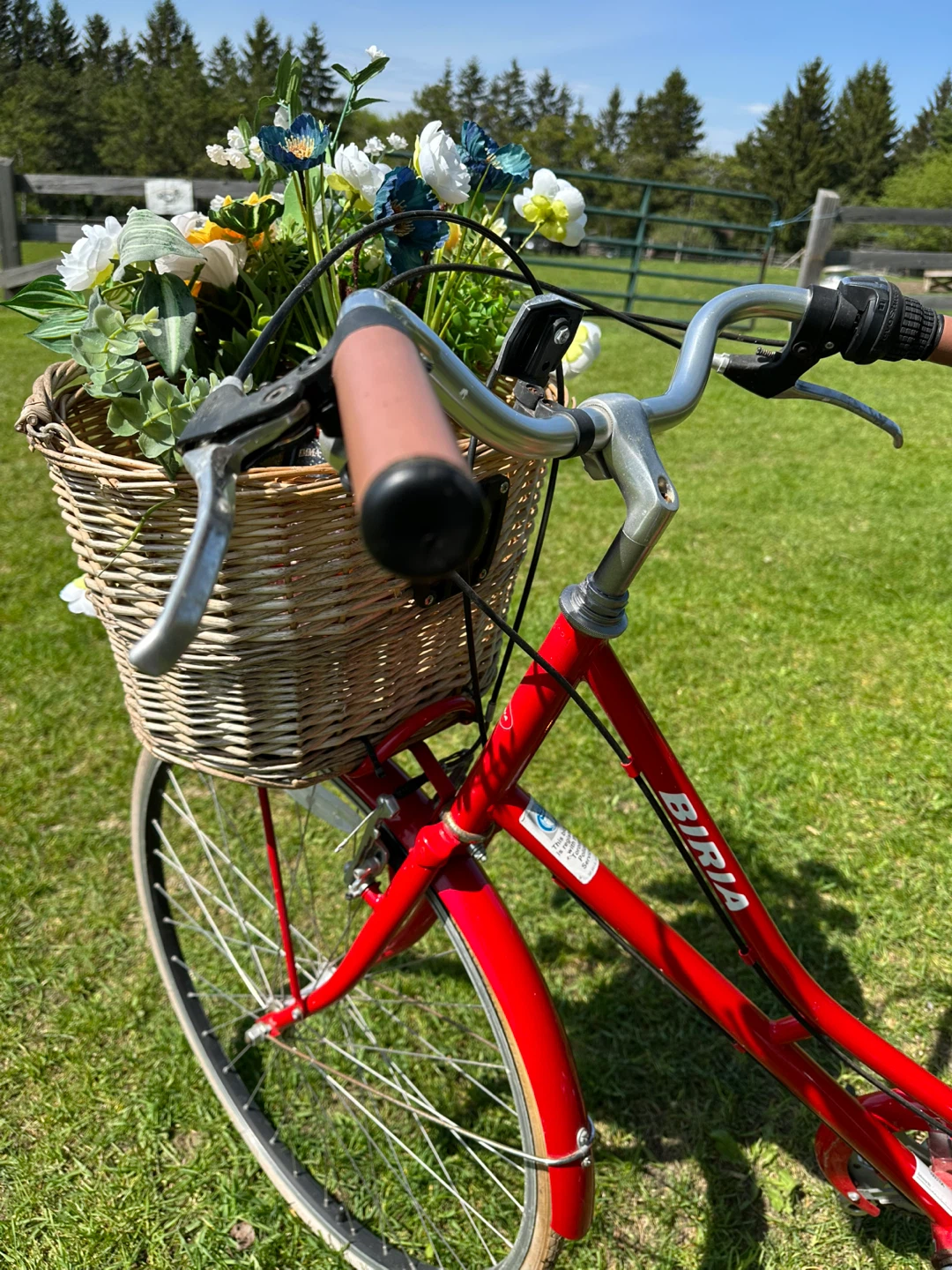 Bike - photo 2