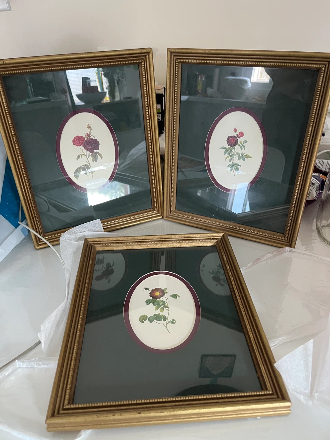 Set of 3 Gold Tone Framed Botanical Prints