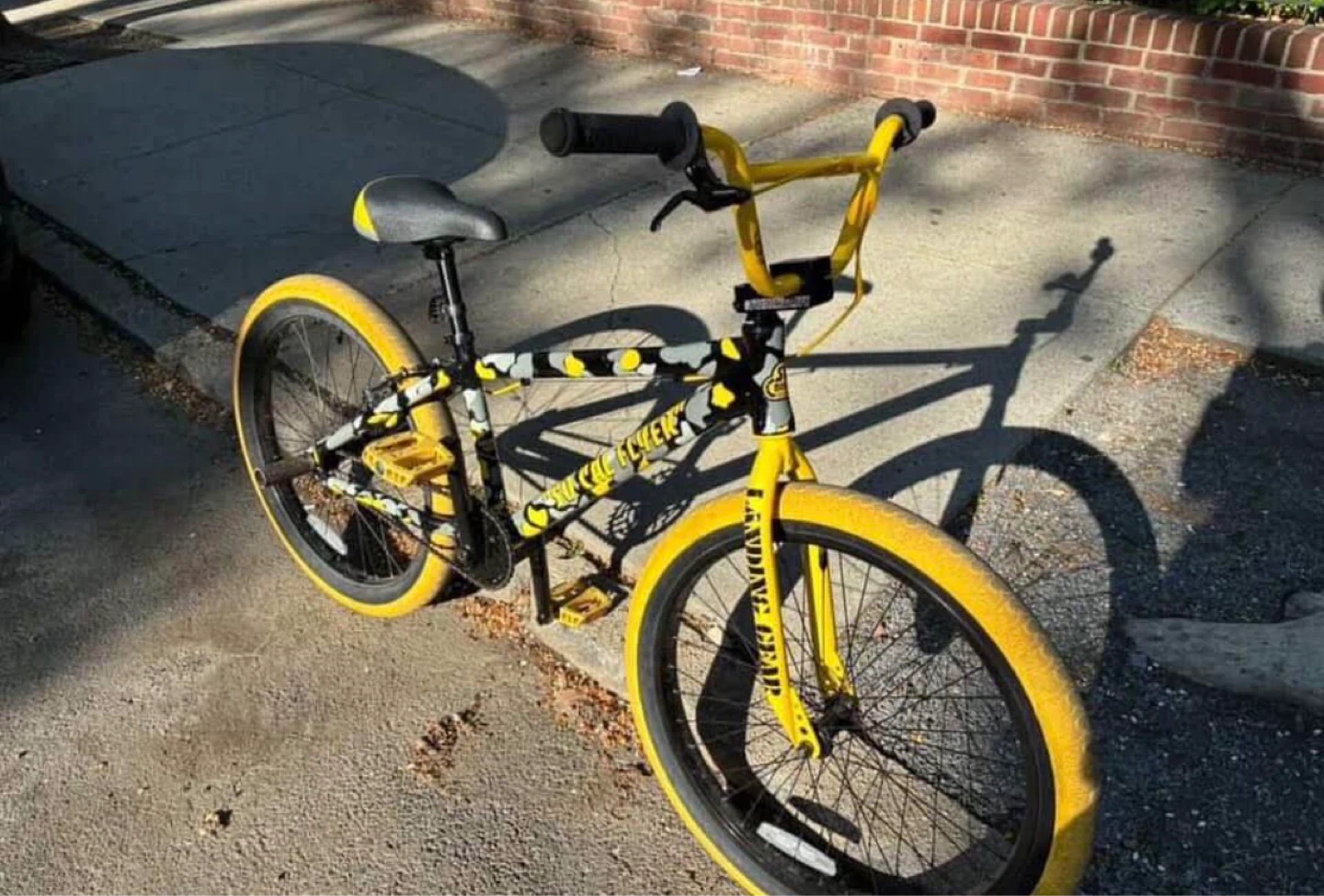SE Bikes SoCal Flyer BMX Bike