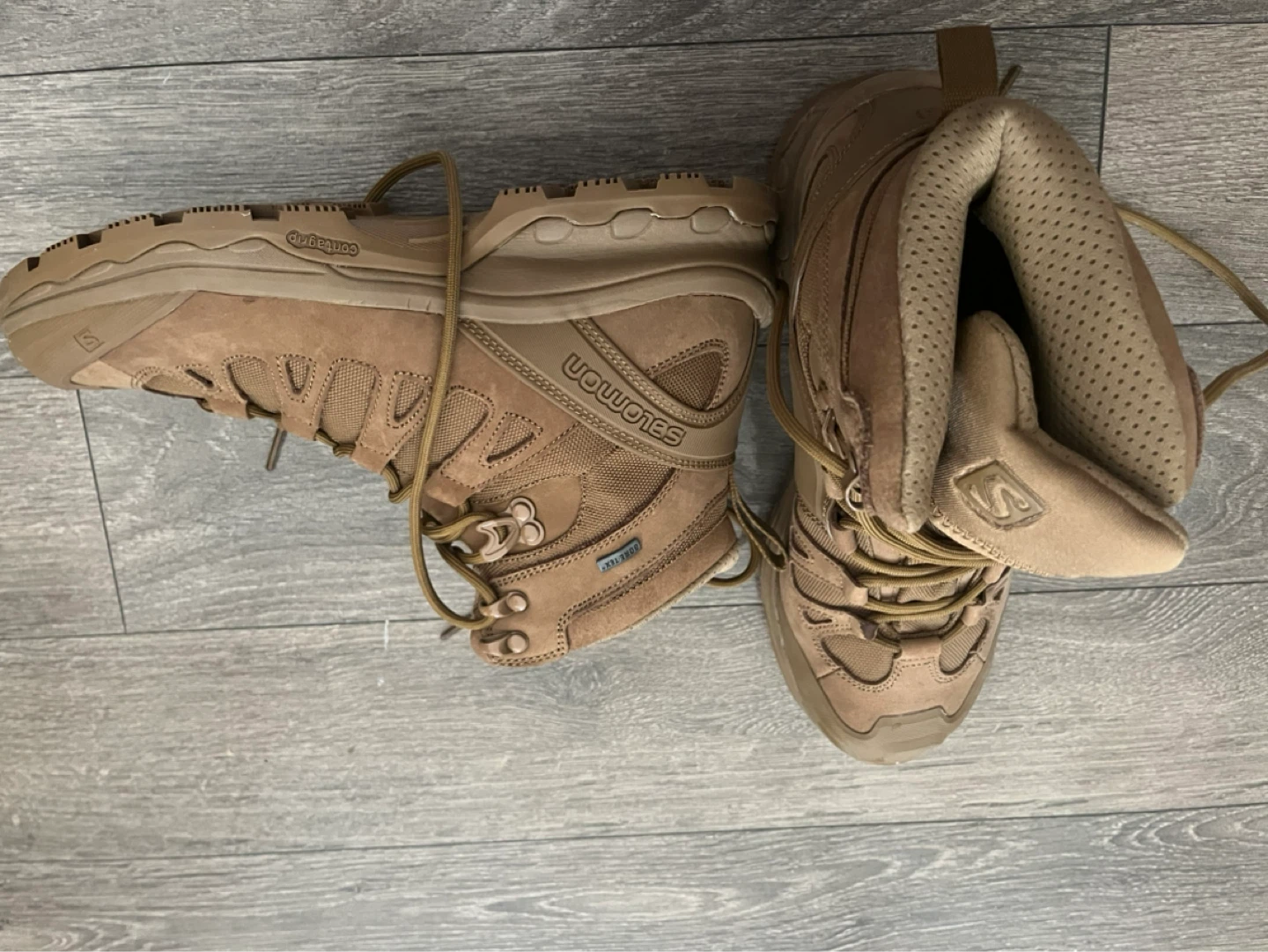 Salomon GTX Desert Boots