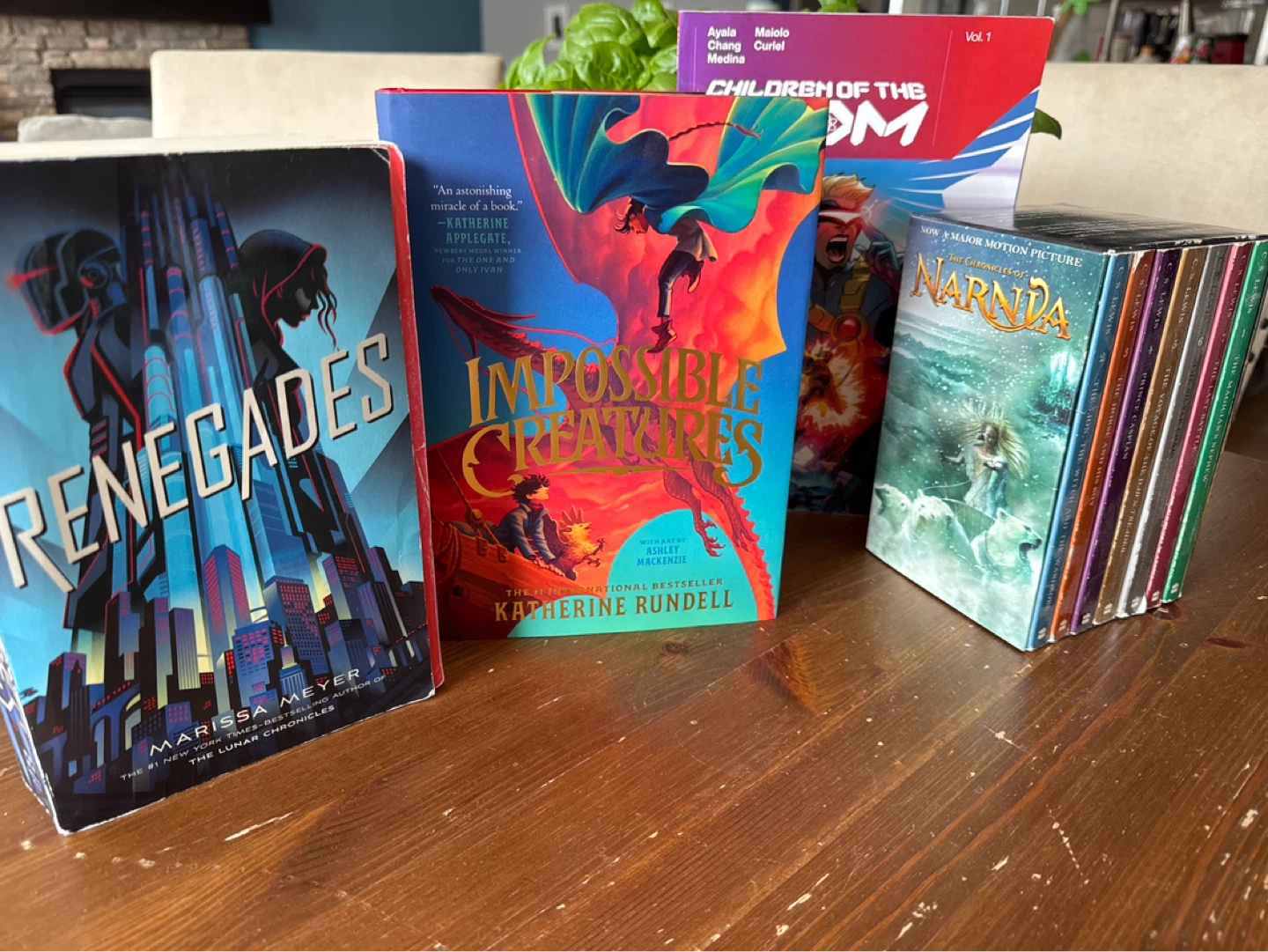 Adventure Book Bundle
