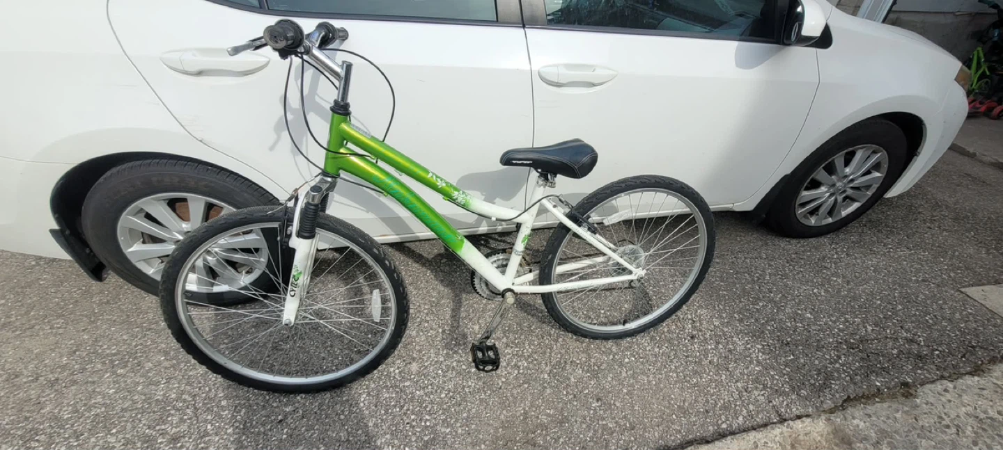 Green and White Bicycle - photo 4